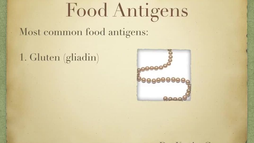 Cancer and Food Antigens