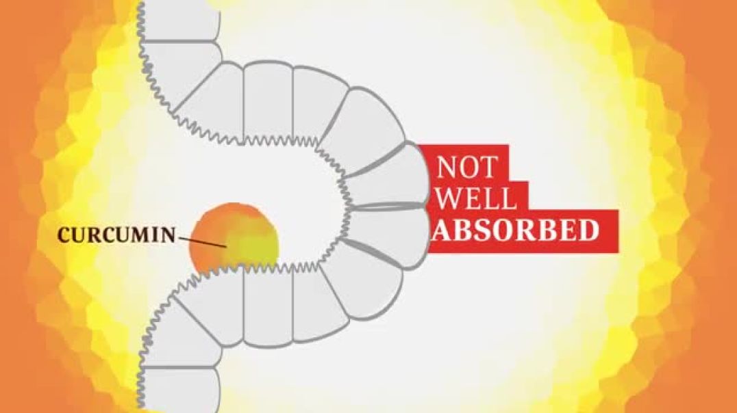 ⁣The Role of FEAR in the Believer's Life | Dr. Kevin Conners | Conners Clinic