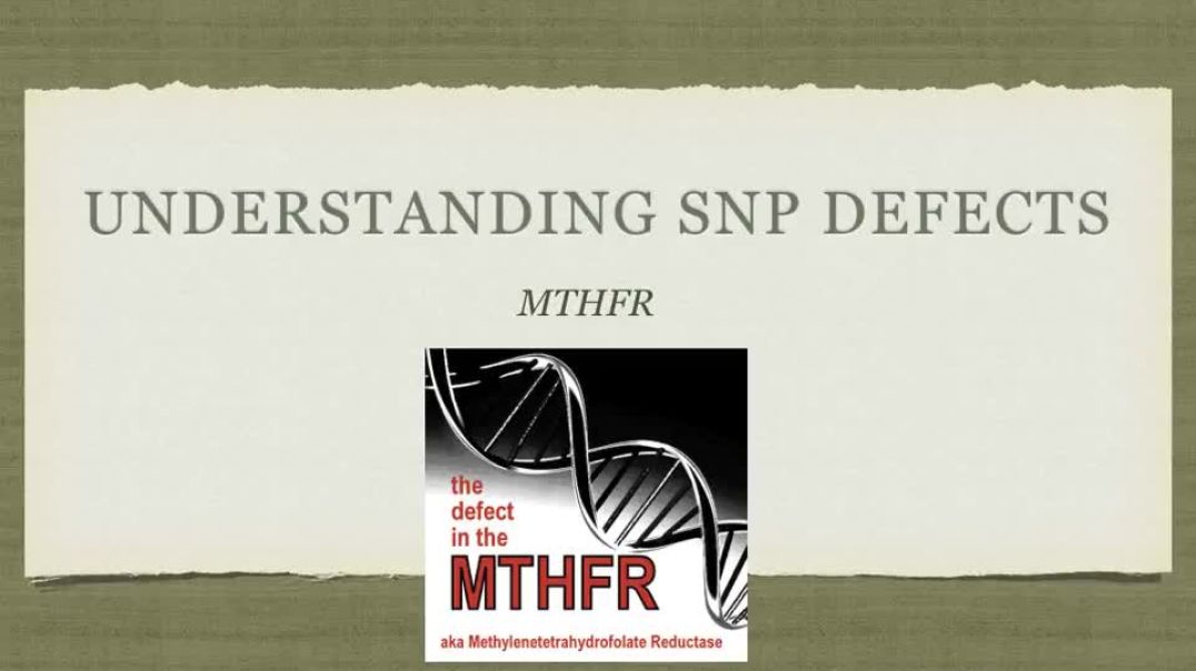 MTHFR Mutation  - Understanding SNP Genetic Defects