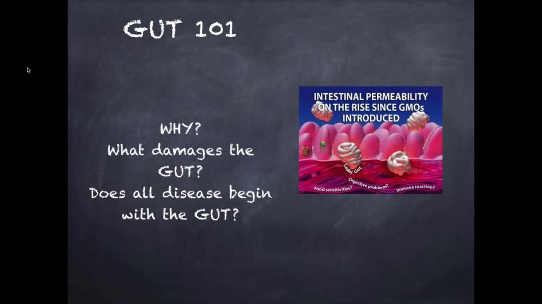 ⁣Gut Talk 101 w/ Jason Rozin