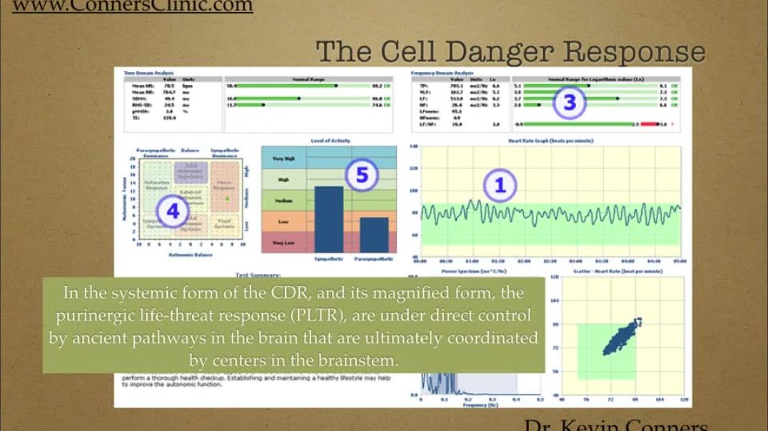 Cell Danger 101