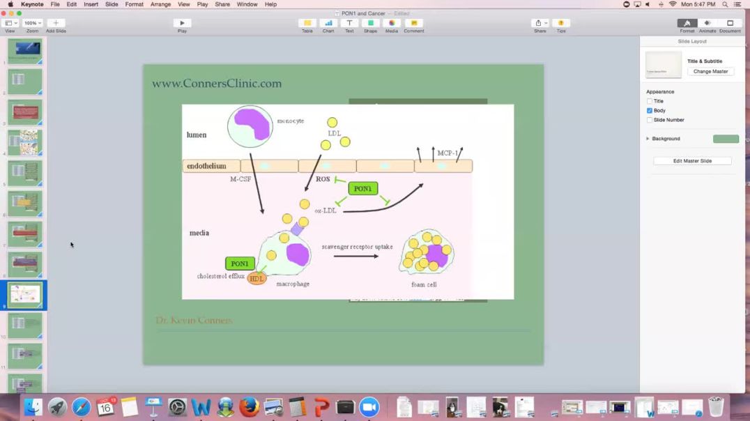 PON1 Gene and Cancer