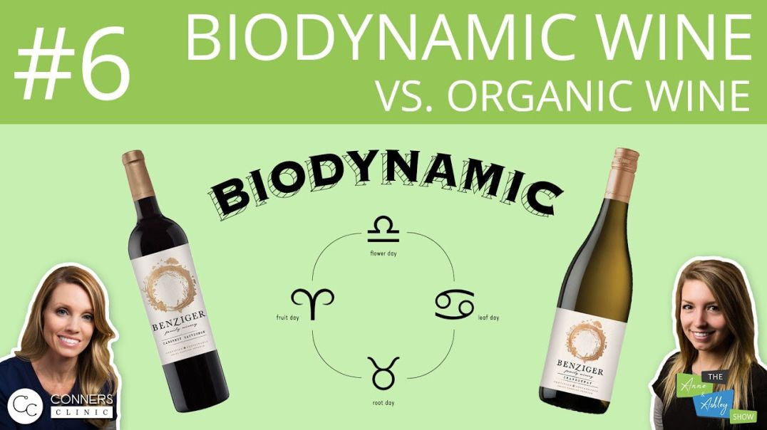 ⁣#6: Biodynamic Wine vs. Organic Wine | The Anne & Ashley Show