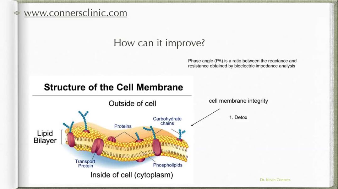 Cancer and Your Phase Angle