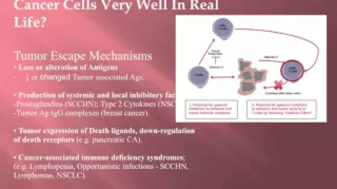 ⁣Cancer Class 10: Cancer and Immune System