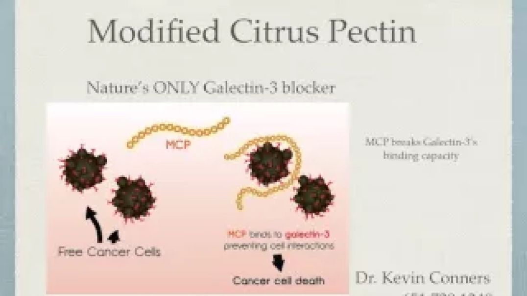 ⁣Modified Citrus Pectin - "Nature's Chelator"