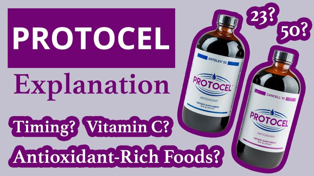 ⁣Protocel Explanation - Timing Protocol, Vitamin C, & Antioxidant-Rich Foods