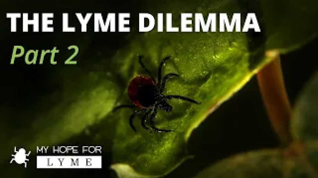 The Lyme Dilemma: Part 2