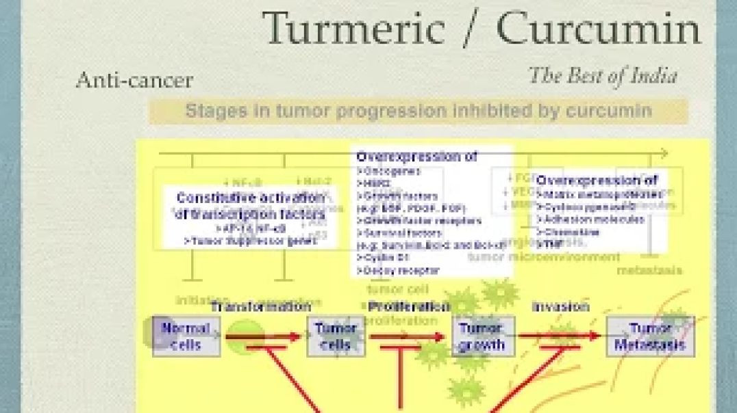 Curcumin/Turmeric for Cancer