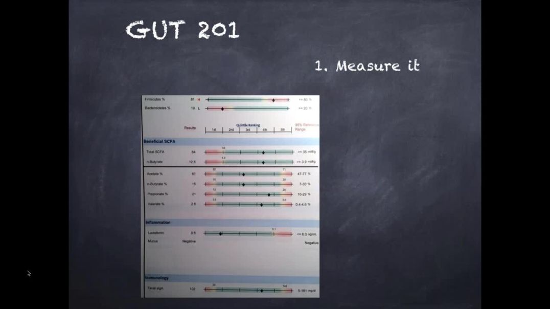 Gut 201 with Jason Rozin