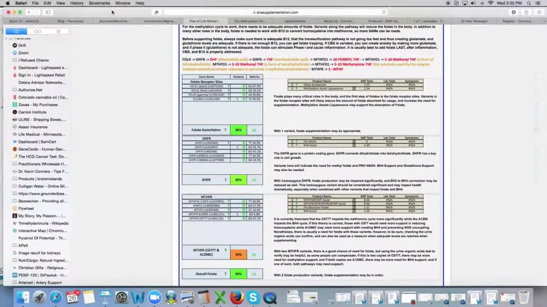 Folate Pathway Review