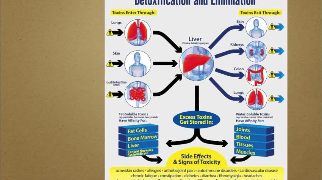 Livton Complex for Liver Detox