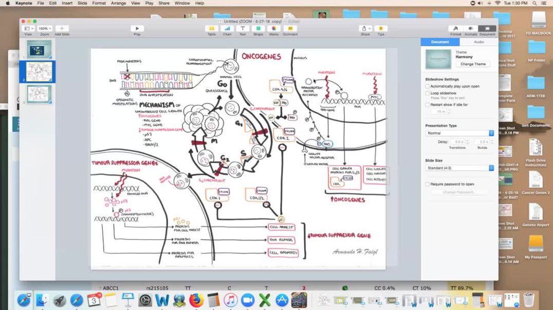 Oncogenes, Suppressor Genes and the Cell Cycle