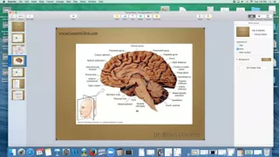 Sympathetic/Parasympathetic Tone