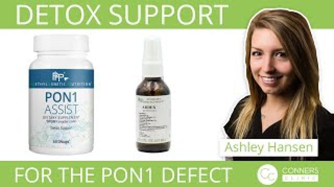 Detox Support for the PON1 Defect - Genetics - Conners Clinic Supplements