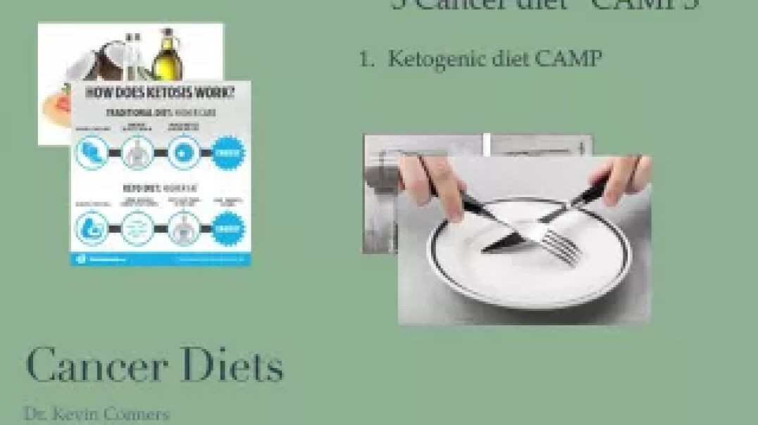 ⁣Cancer Diets - 3 CAMPS