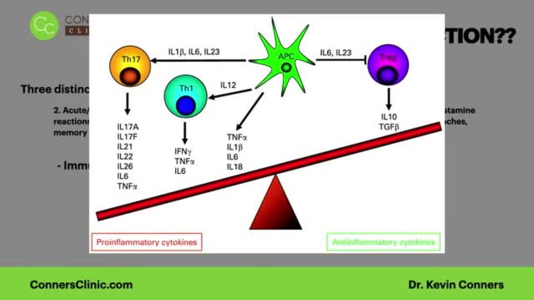 Covid Vaccine Detox - Long Haul Protocols