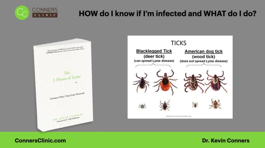 ⁣How do I know if Im infected? Lyme Disease