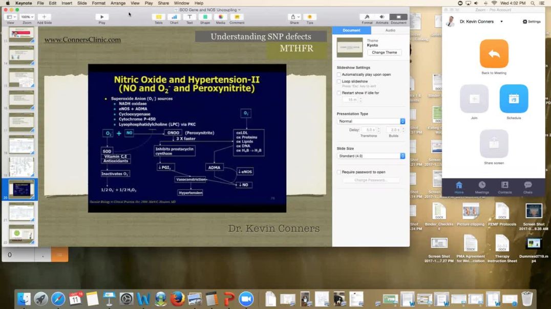 Nitric Oxide and Peroxynitrate, RSO - Zoom Call 10/11/17