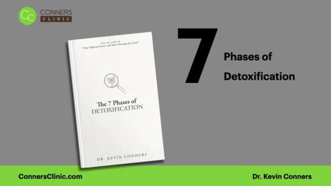 ⁣The 7 Phases of Detoxification