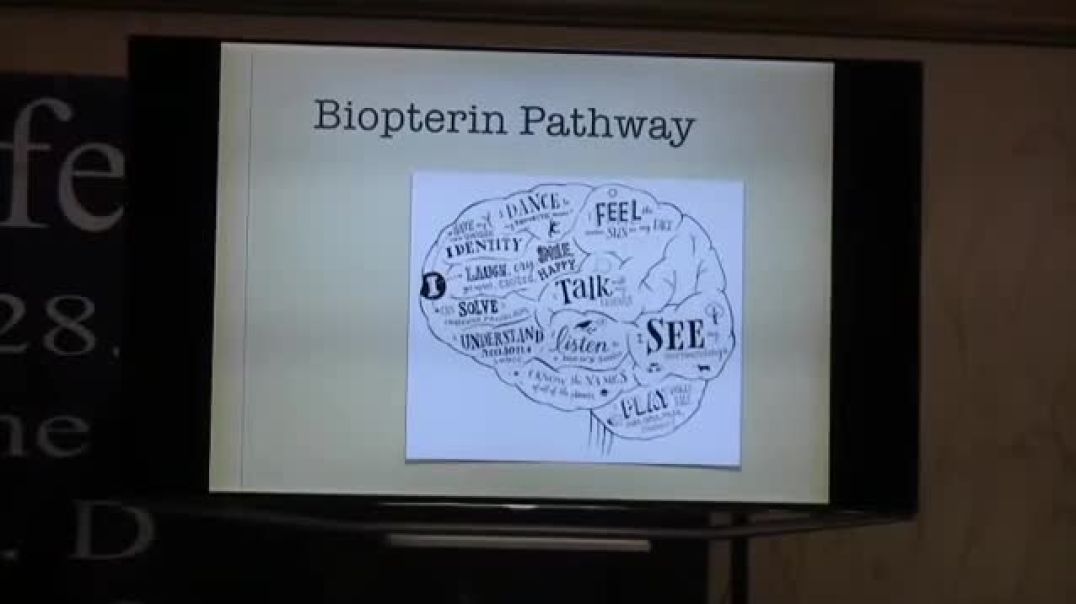 ⁣Mood Issues & Biopterin Pathway - Where Neurotransmitters are Made