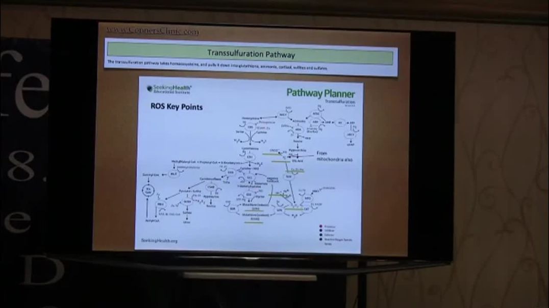 Transsulfuration & Hyperammonemia - Getting Rid of Sulfites and Ammonia