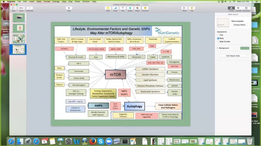 MTOR pathway -  Lifestyle Stimulation & Cancer