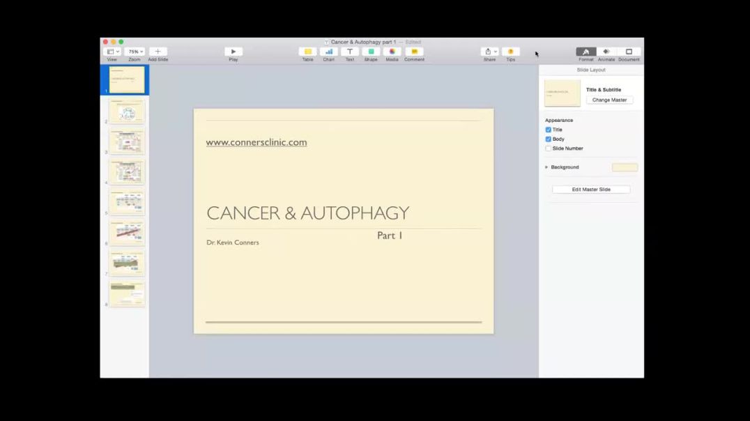 Cancer and Autophagy #1