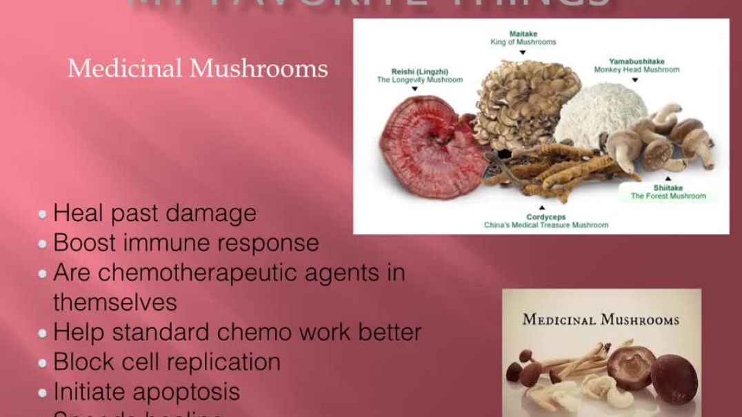 Cancer Class 11 - Medicinal Mushrooms