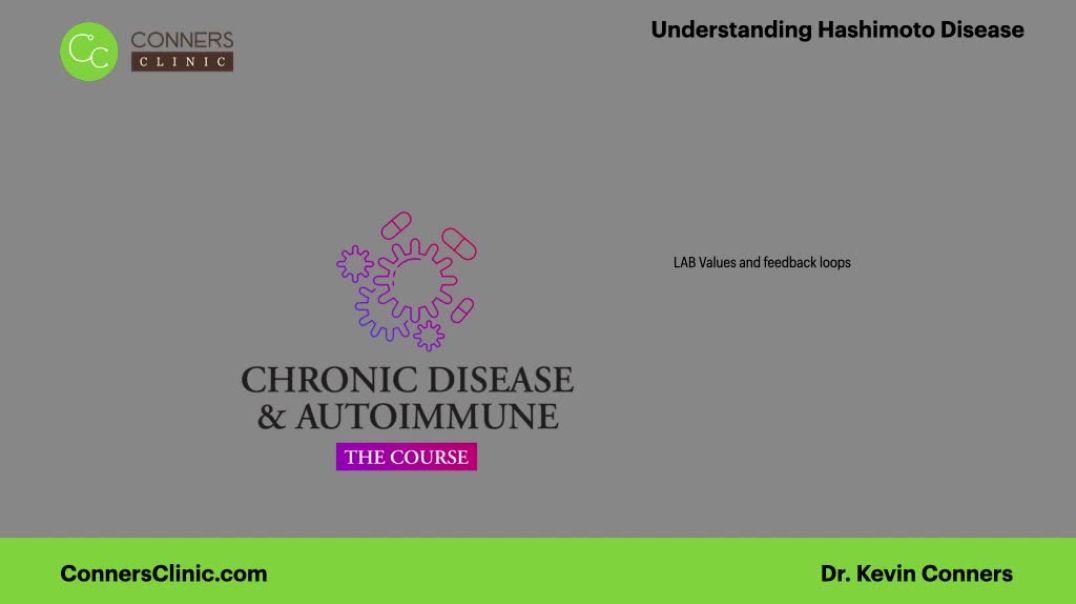 ⁣Hashimoto Lab Levels - key concepts