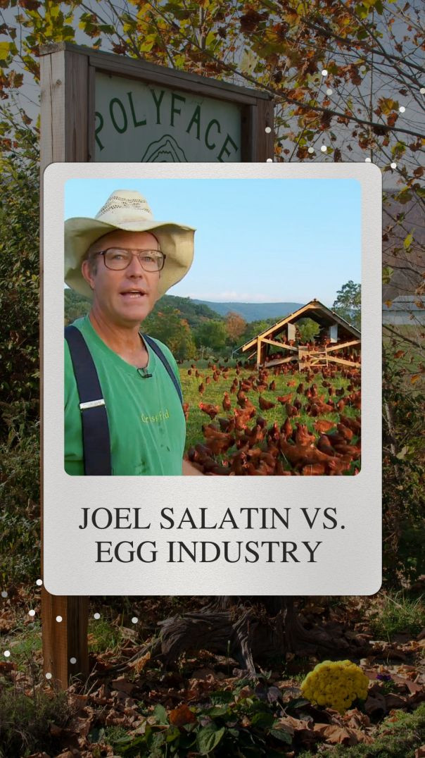 Joel Salatin vs. Egg Industry